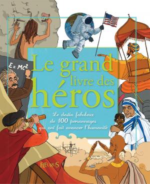 Cover of the book Le grand livre des héros by Emmanuelle Lepetit