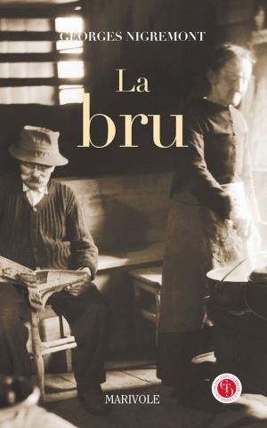 Cover of the book La Bru by Jean-Claude Ponçon