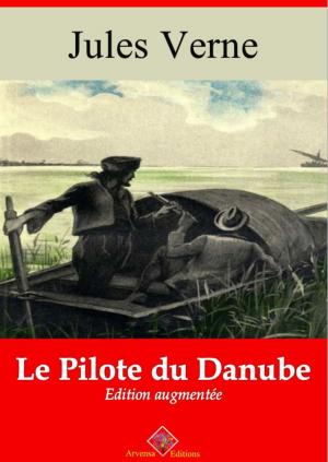 Cover of the book Le pilote du Danube by Lena Lingemann