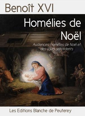 Cover of the book Homélies de Noël by Pape François