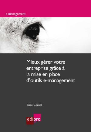 Cover of the book Mieux gérer votre entreprise grâce à la mise en place d'outils e-management by Pascal Poty, Alain Gerlache