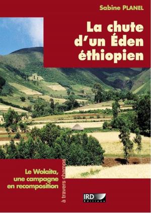Cover of the book La chute d'un Eden éthiopien by Hervé Rakoto Ramiarantsoa, Chantal Blanc-Pamard