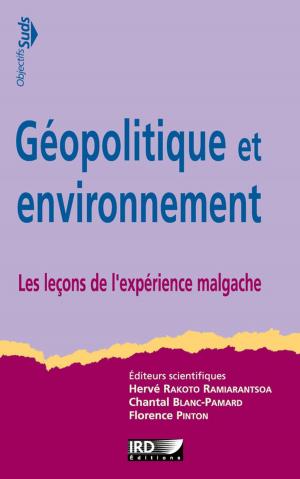 Cover of the book Géopolitique et environnement by Ricardo Ravelo