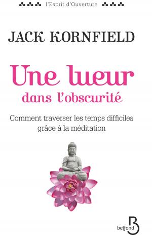 Cover of the book Une lueur dans l'obscurité by Georges SIMENON
