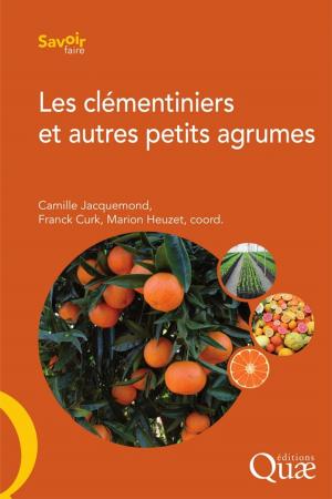 Cover of the book Les clémentiniers et autres petits agrumes by Florentina Moatar, Nadia Dupont