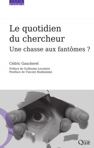 Cover of the book Le quotidien du chercheur by Jean-Pierre Jouany