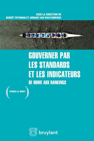 Cover of the book Gouverner par les standards et les indicateurs by Alain Bensoussan, Frédéric Forster, Sébastien Soriano