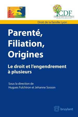 Cover of the book Parenté, filiation, origine by Gérard Dive, Benjamin Goes, Damien Vandermeersch