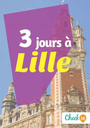 Cover of the book 3 jours à Lille by Nelly Collet