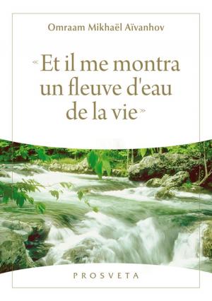 Cover of « Et il me montra un fleuve d'eau de la vie »