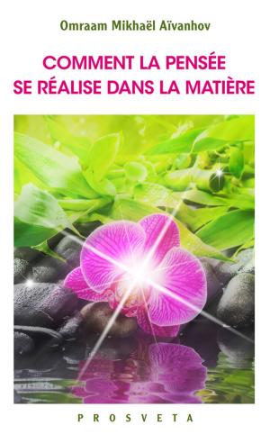 Cover of the book Comment la pensée se réalise dans la matière by Sonja Grace