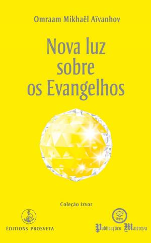 Cover of Nova luz sobre os Evangelhos