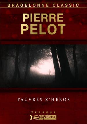 Cover of the book Pauvres Z'héros by Pierre Pelot