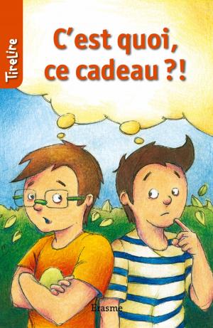 Cover of the book C'est quoi ce cadeau?! by Benoît Demazy, Récits Express