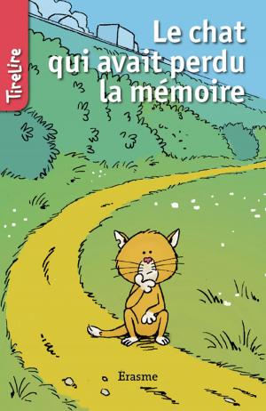 Cover of the book Le chat qui avait perdu la mémoire by Geneviève Rousseau, Récits Express