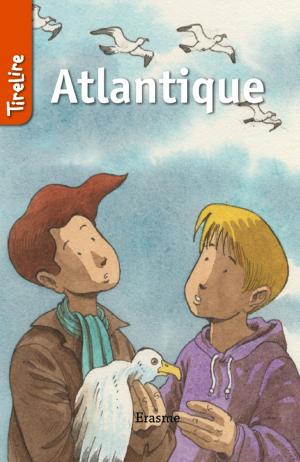 Cover of the book Atlantique by Stefan Boonen, TireLire