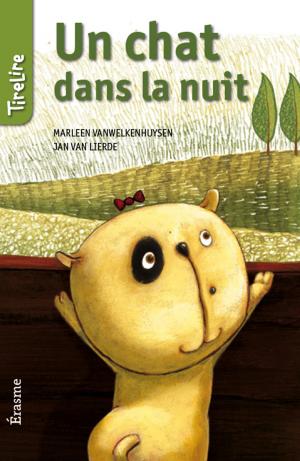 Cover of the book Un chat dans la nuit by Geneviève Rousseau, Récits Express
