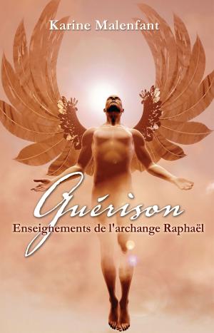 Cover of the book Guérison by Martin Daneau