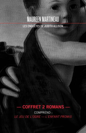 Cover of the book Les enquêtes de Judith Allison - Coffret numérique by Gilles Tibo