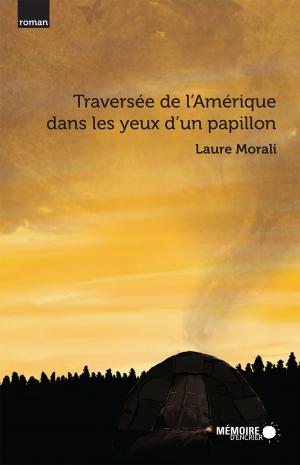 Book cover of Traversée de l'Amérique dans les yeux d'un papillon