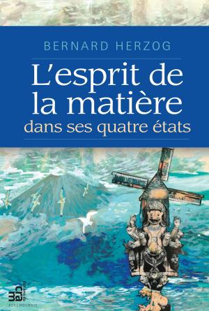 Cover of the book L'esprit de la matière dans ses quatre états by Colette Portelance