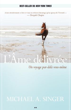 Cover of the book L’Âme délivrée by Liz Curtis Higgs