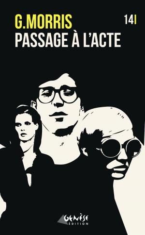 Cover of the book Passage à l'acte by Alex Brightsmith