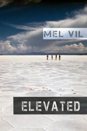 bigCover of the book Elevated: an Anthology of Short Stories by 