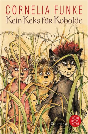 Cover of the book Kein Keks für Kobolde by John Boyne
