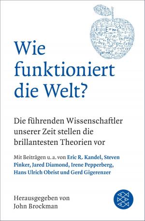 Cover of the book Wie funktioniert die Welt? by Prof. Dr. Uwe Schneidewind