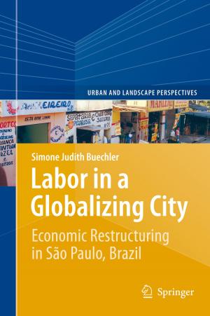 Cover of the book Labor in a Globalizing City by Alexander Barvinok