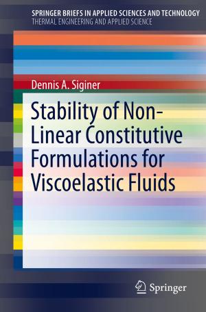Cover of the book Stability of Non-Linear Constitutive Formulations for Viscoelastic Fluids by Carolina Witchmichen Penteado Schmidt, Fabiana Gatti de Menezes