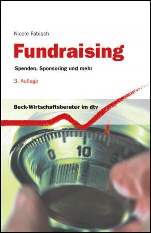 Cover of the book Fundraising by Stefan Samerski
