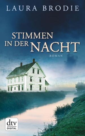 Cover of the book Stimmen in der Nacht by Thomas Glavinic