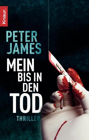 Cover of Mein bis in den Tod
