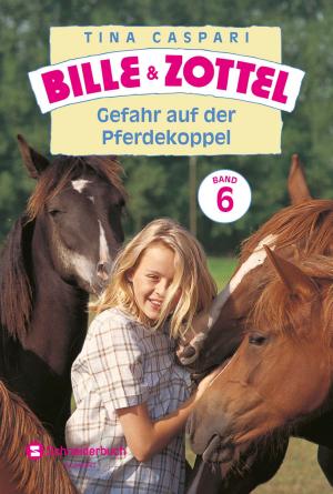 Cover of Bille und Zottel Bd. 06 - Gefahr auf der Pferdekoppel