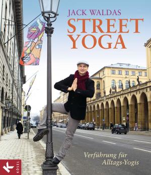 Cover of the book Street Yoga by Antje Drössel, Stephan Heinrich Nolte