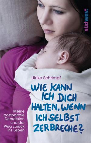 Cover of the book Wie kann ich dich halten, wenn ich selbst zerbreche? by Selene Yeager