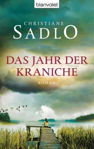 Cover of the book Das Jahr der Kraniche by James Rollins, Rebecca Cantrell