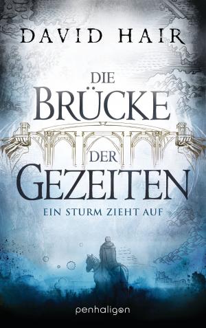 Book cover of Die Brücke der Gezeiten 1