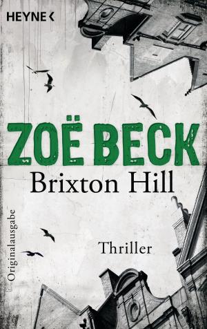 Book cover of Brixton Hill