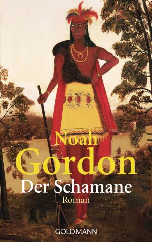 Cover of the book Der Schamane by Jan-Philipp Sendker