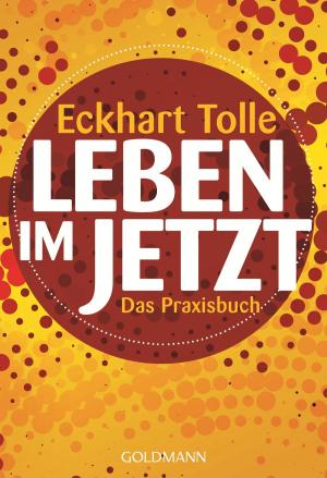 Cover of the book Leben im Jetzt by Eileen Caddy