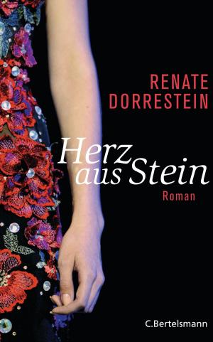 Book cover of Herz aus Stein