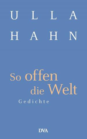 Cover of the book So offen die Welt by Thomas Schulz