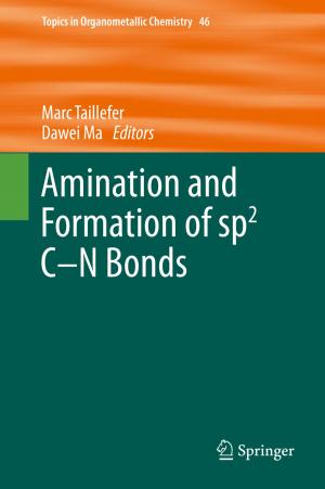 bigCover of the book Amination and Formation of sp2 C-N Bonds by 