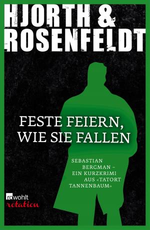 Cover of the book Feste feiern, wie sie fallen by Florian Huber