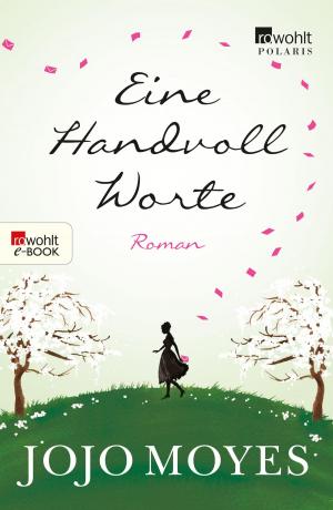 Cover of the book Eine Handvoll Worte by Sandra Lüpkes