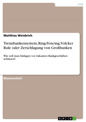 Cover of the book Trennbankensystem, Ring-Fencing, Volcker Rule oder Zerschlagung von Großbanken by Nancy Kunze-Groß