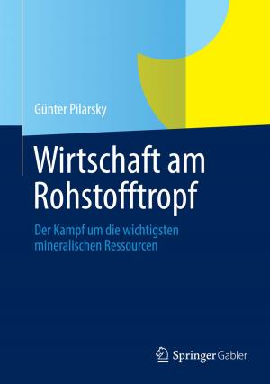 Cover of the book Wirtschaft am Rohstofftropf by 